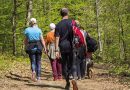 West Mendip Walkers