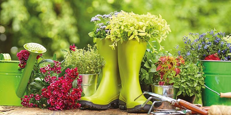 West Pennard Gardening Club