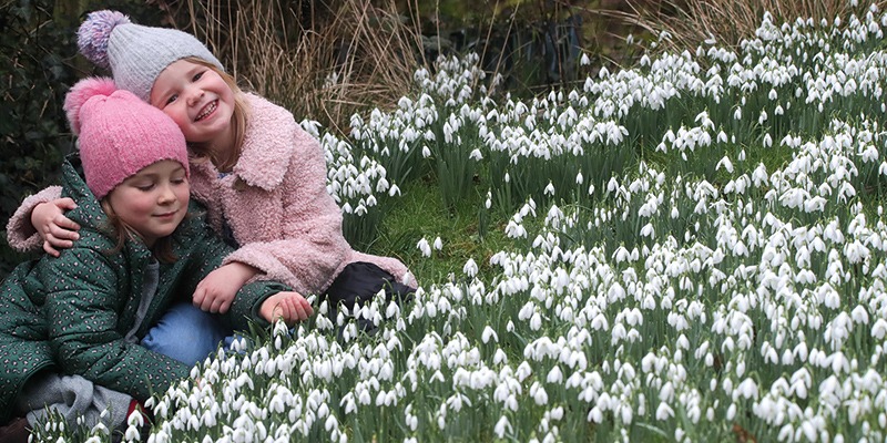 Shepton Snowdrops Festival