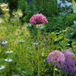 The Gardens of Great Dixter: Gardening as an Art Form