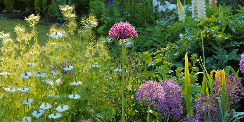 The Gardens of Great Dixter: Gardening as an Art Form